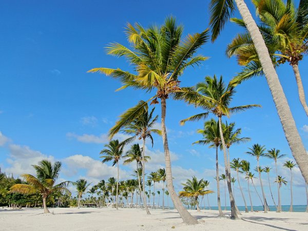 Découvrez les merveilles des seychelles : voyagez vers le paradis